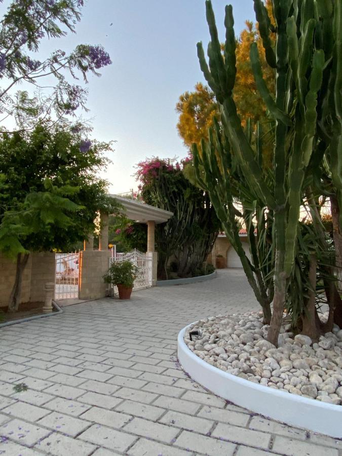 Nostrana Village Apartments Koskinou  Exterior photo